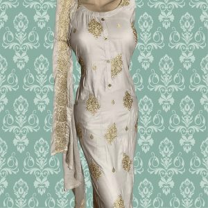 Pale Silver Salwar Kameez